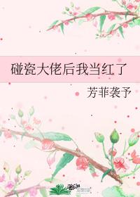 碰瓷大佬后我当红了芳菲